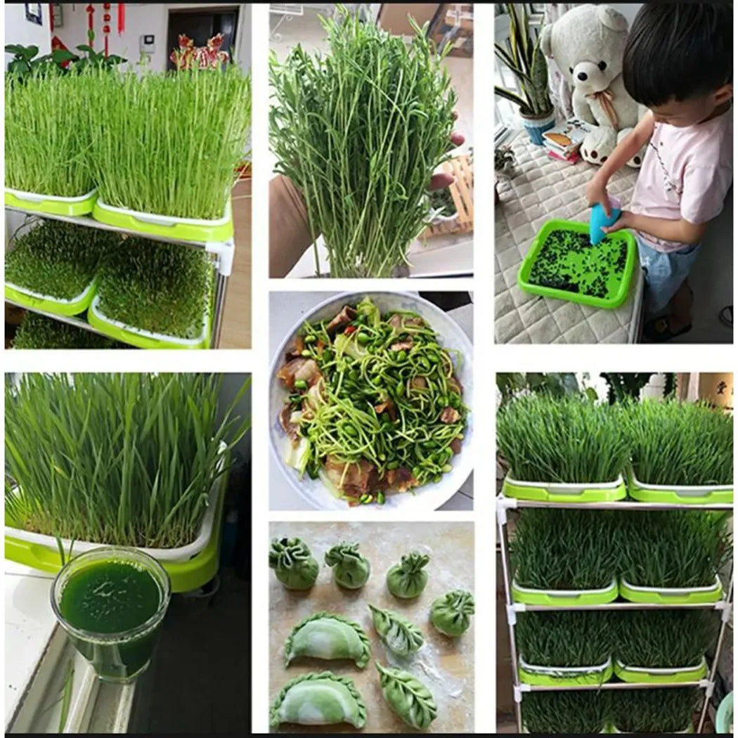 Microgreens Sprouter Tray Hydroponic / Sprouting Tray for Sprout Horticultural Hydroponic Systems Tray Garden Nursery Potted