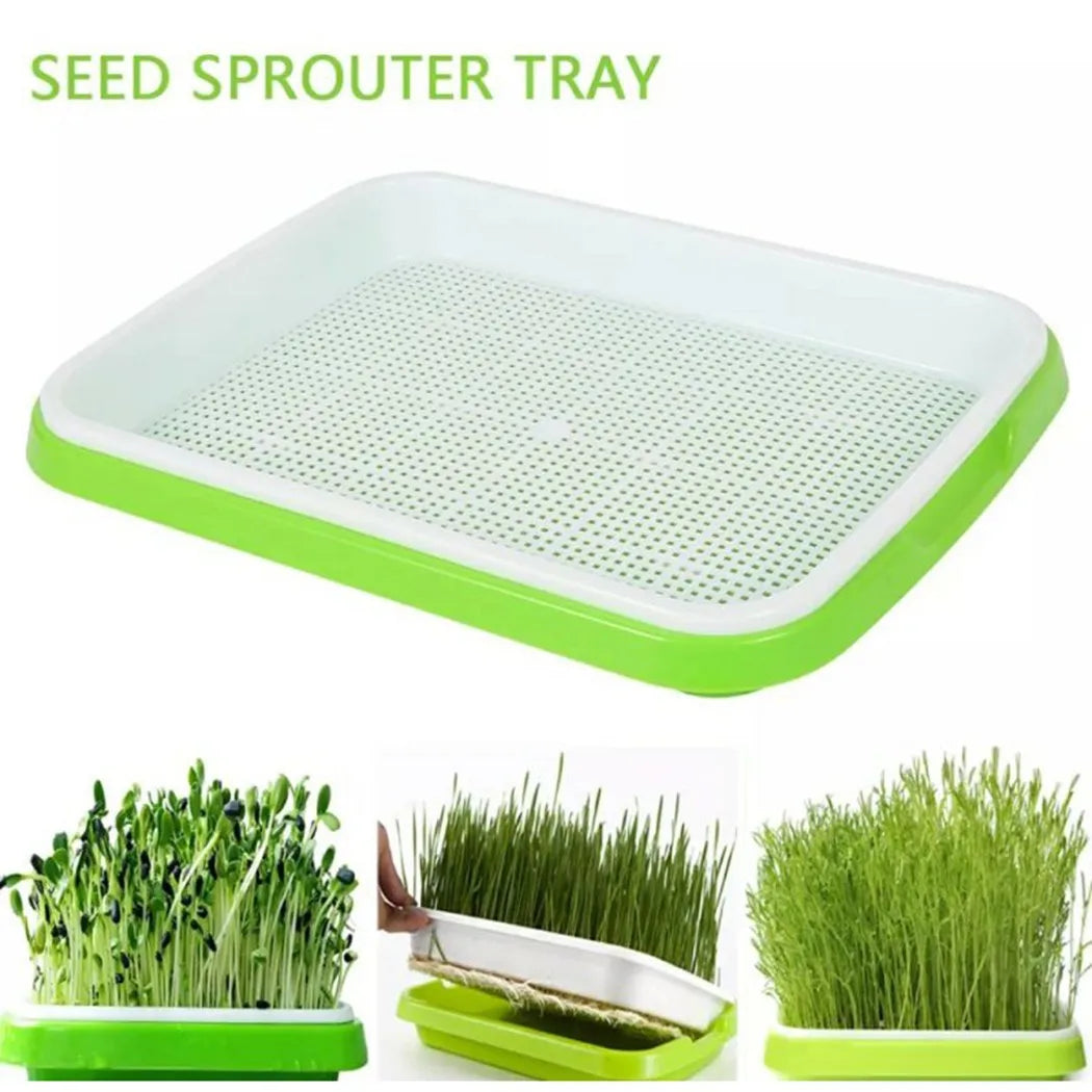 Microgreens Sprouter Tray Hydroponic / Sprouting Tray for Sprout Horticultural Hydroponic Systems Tray Garden Nursery Potted