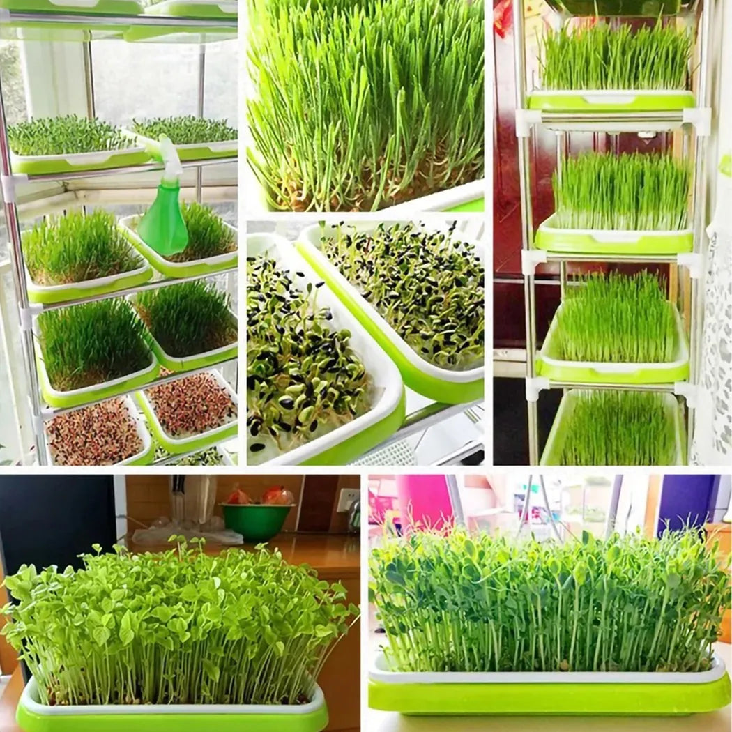 Microgreens Sprouter Tray Hydroponic / Sprouting Tray for Sprout Horticultural Hydroponic Systems Tray Garden Nursery Potted